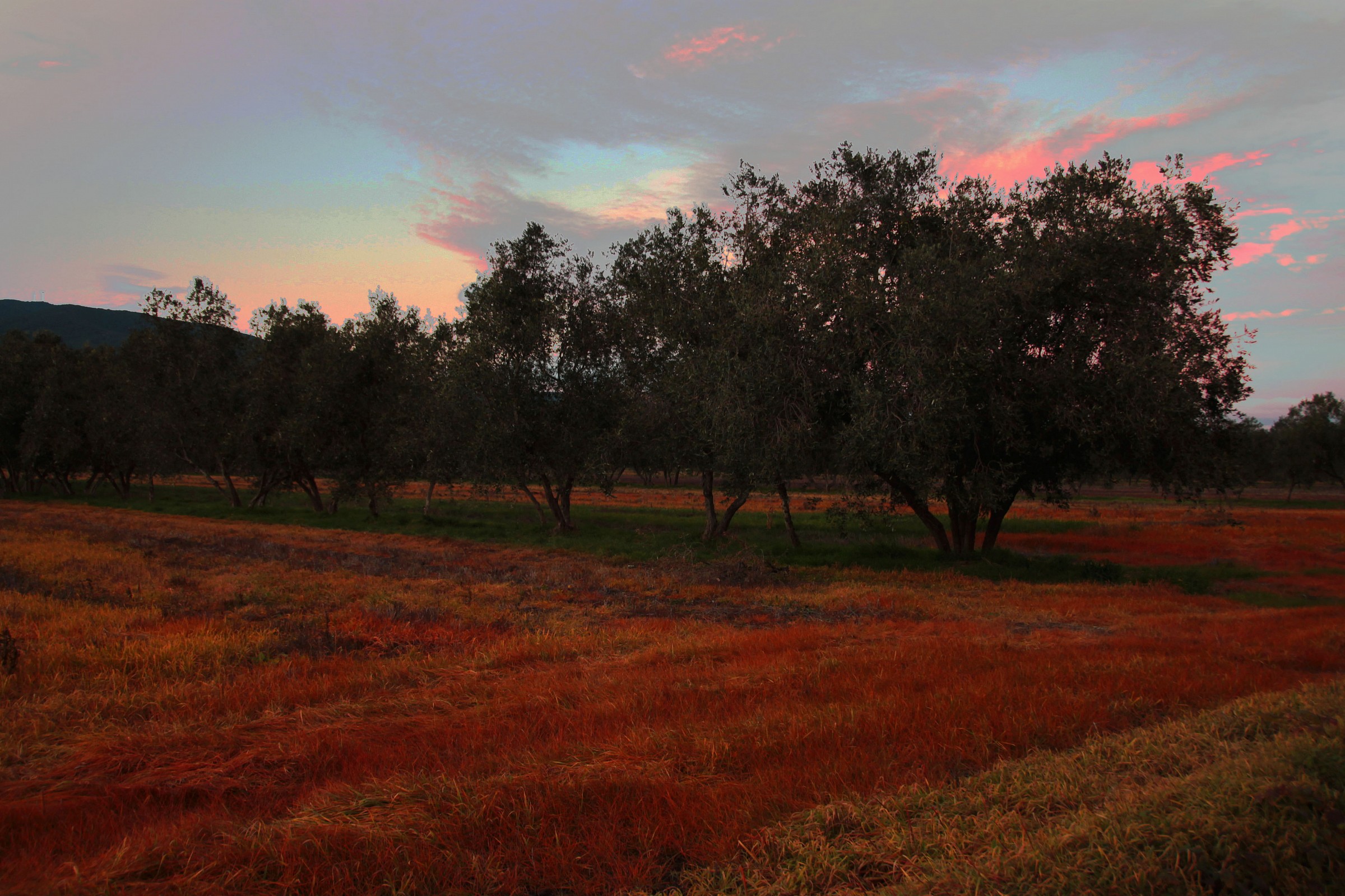 colors of the winter campaign