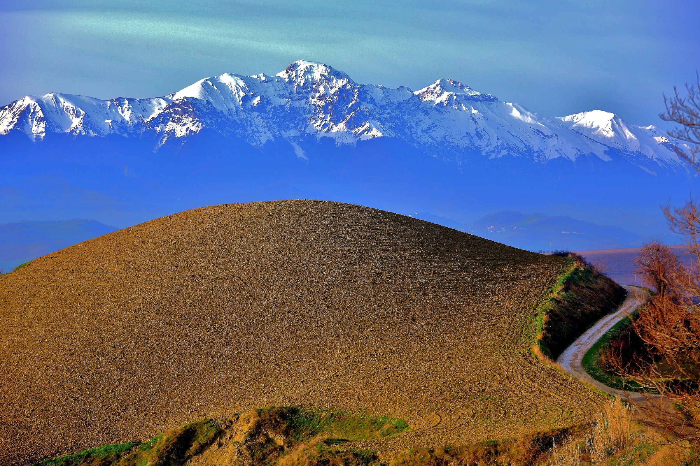 Armonia di rotondi e aguzzi-