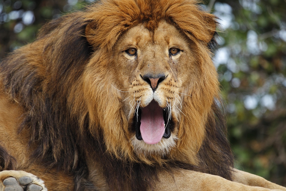 Guardami che ti faccio una foto riccordo