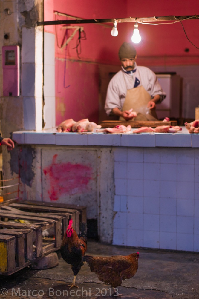 El Jadida, Morocco 2013