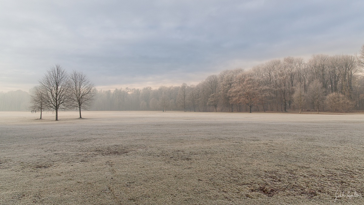 tra nebbia e ghiaccio