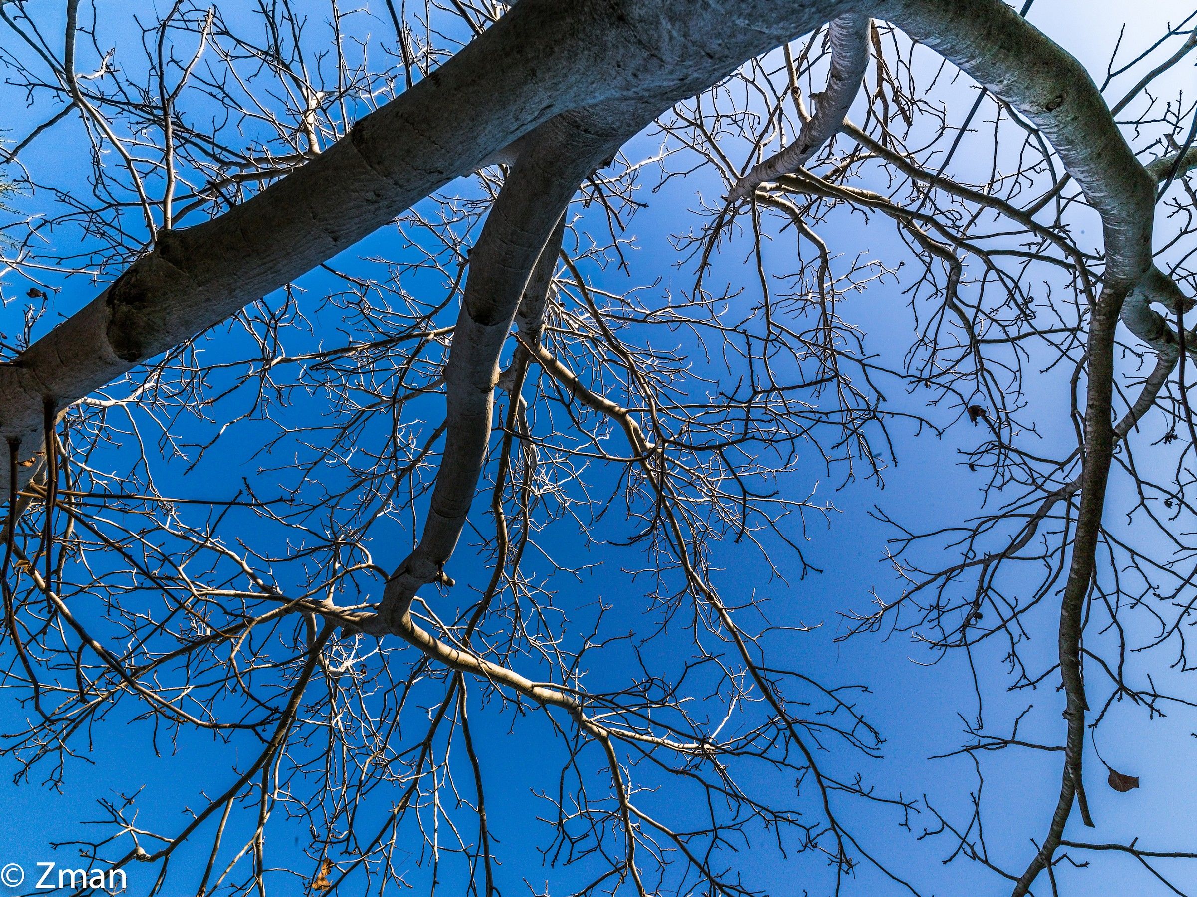 The Clear Blue Sky.Cold Un-rainy Winter