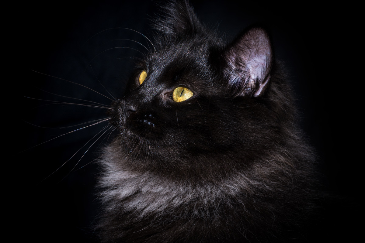 No coincidence that my name is Eros