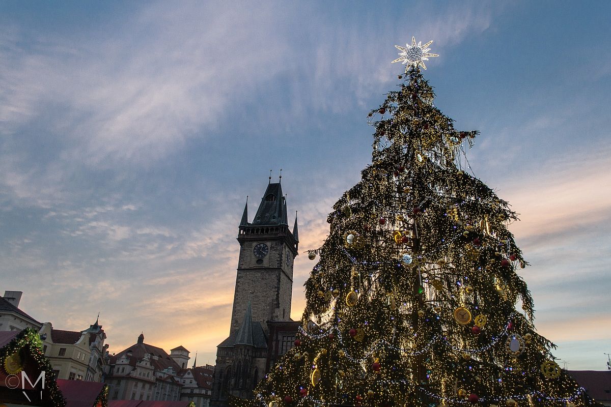 Aspettando la vigilia..