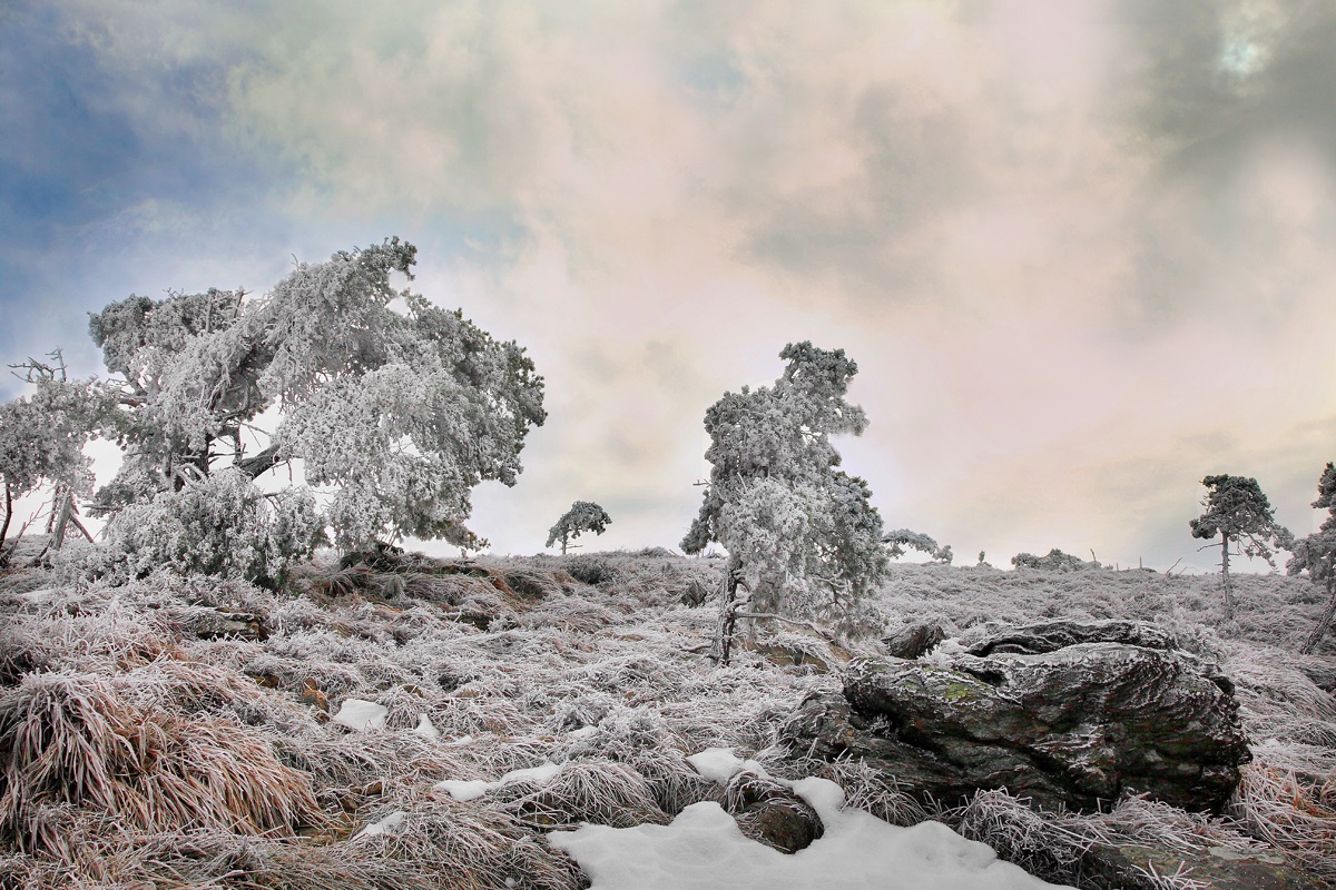 His Majesty the winter