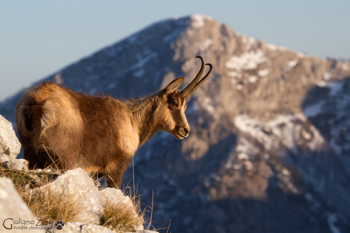 Affacciandosi al tramonto.