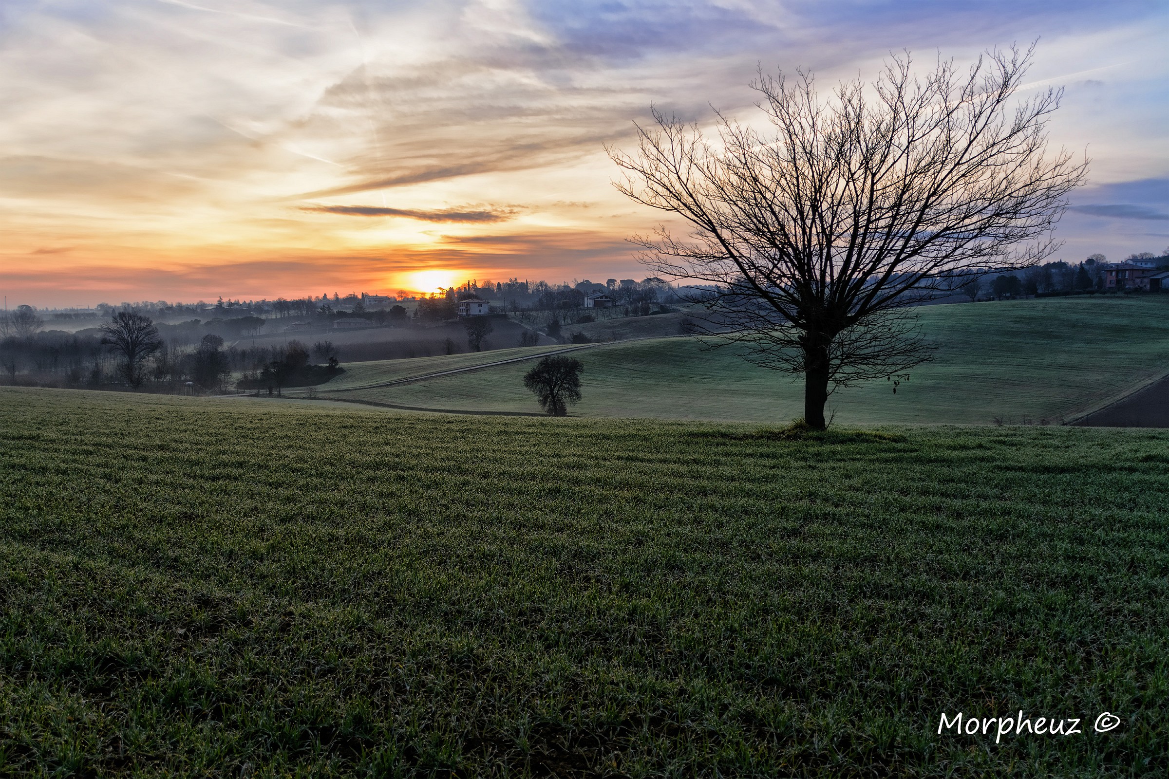 Alba sulla collina Dozzese