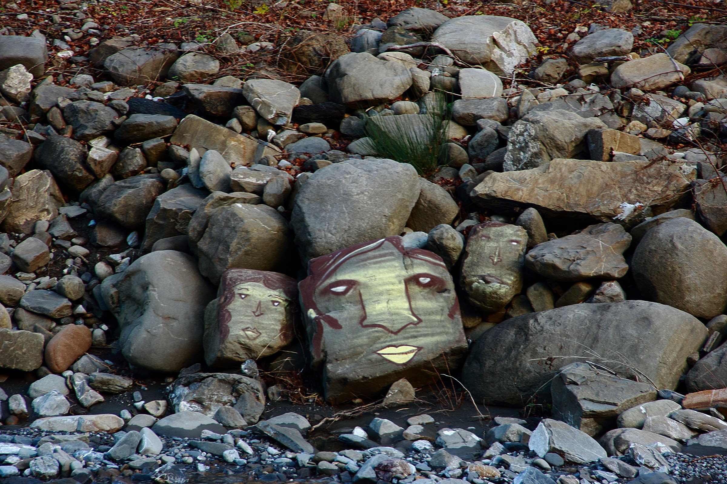 Little Family in the river