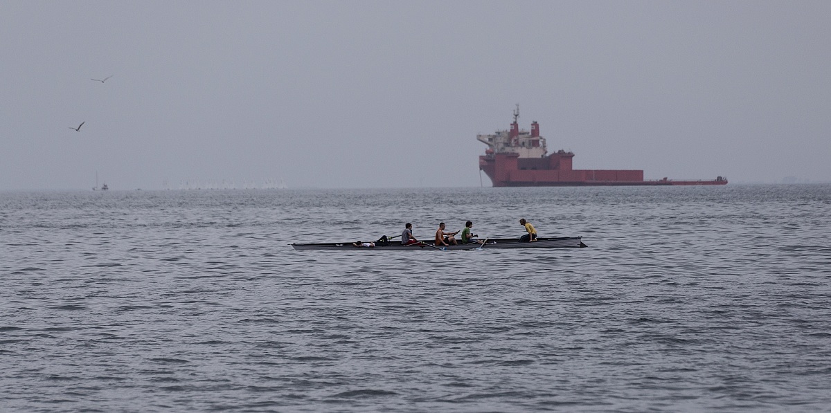 navigate in the Gulf of Trieste