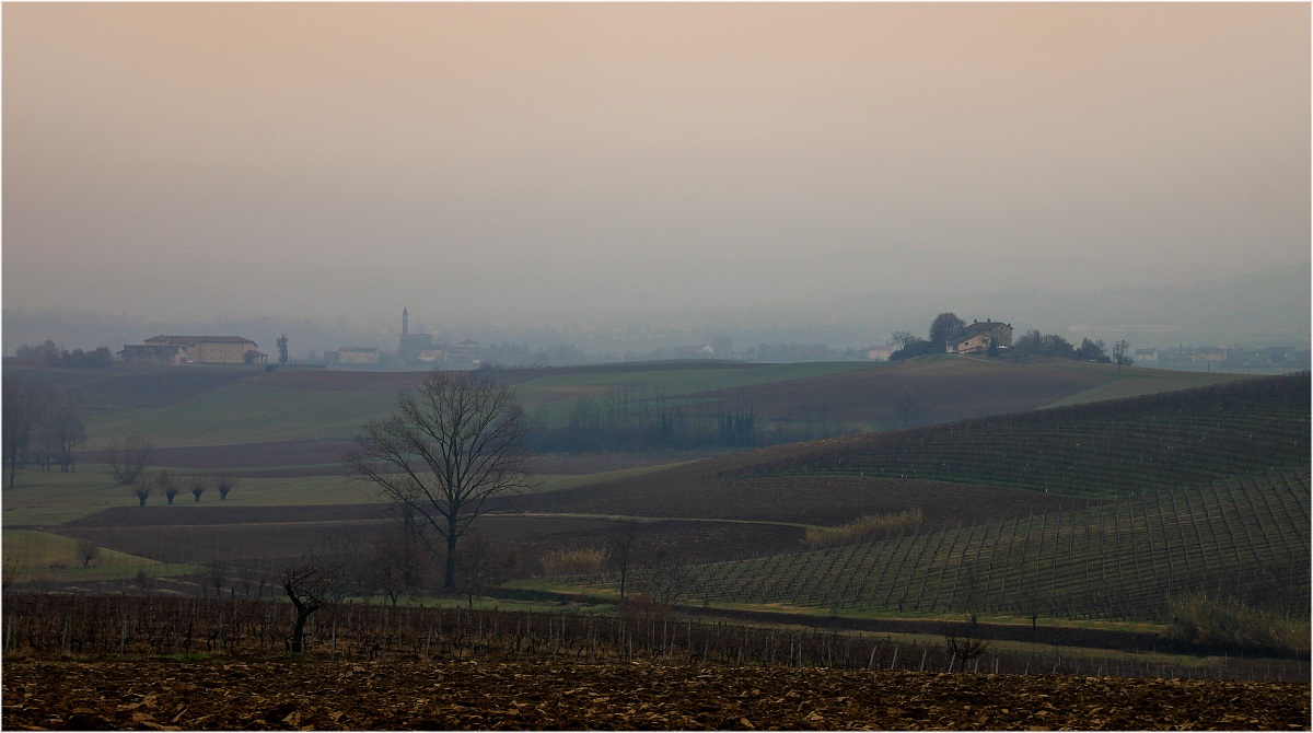 Hills of Monferrato