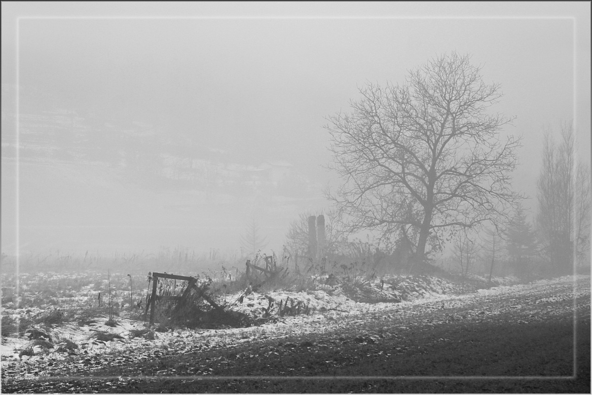 Snow and fog matutine