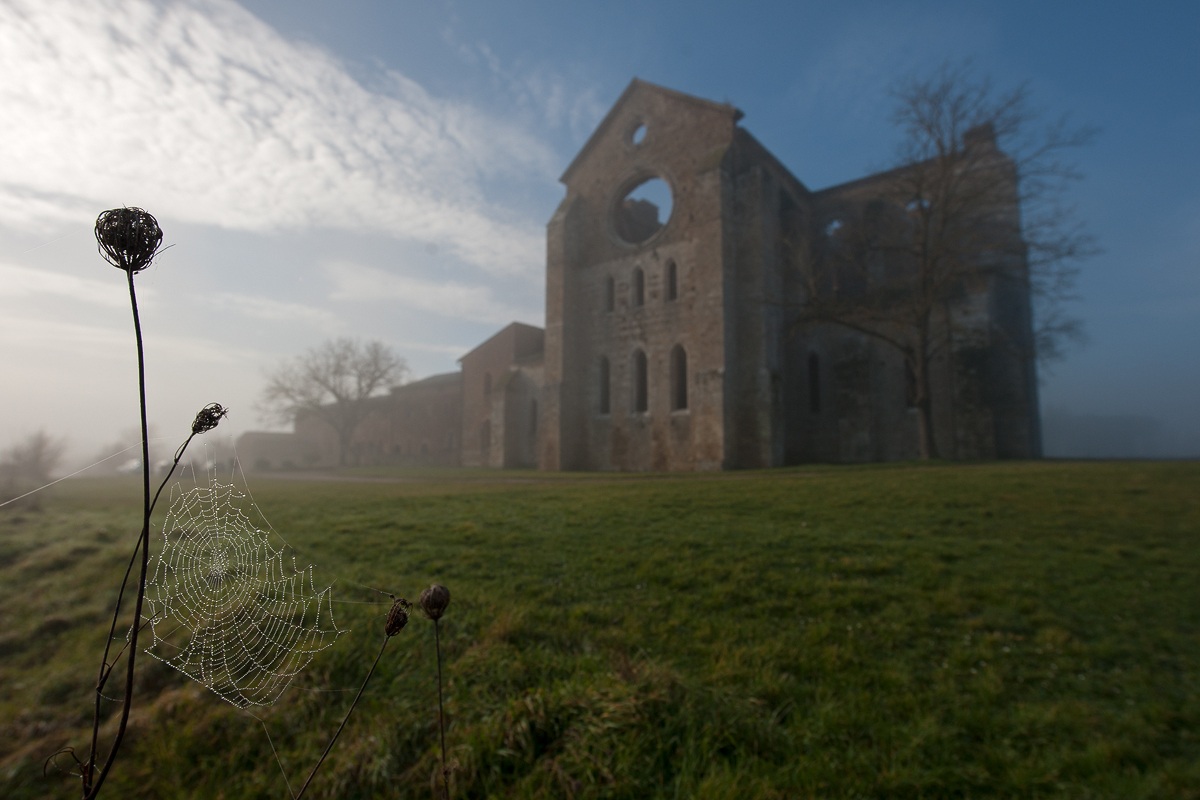 Light fog today in San Galgano