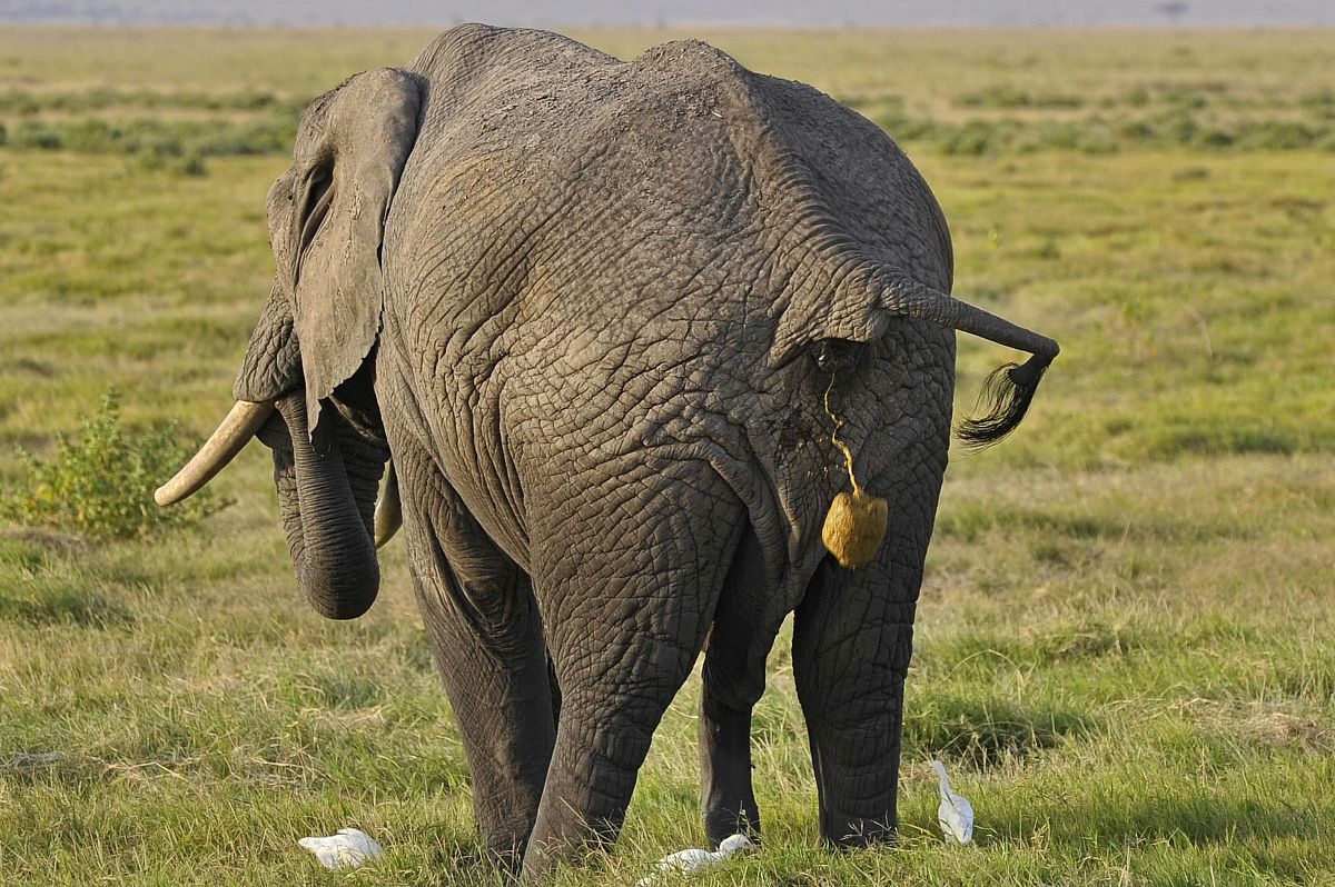 Attenzione, caduta massi!!