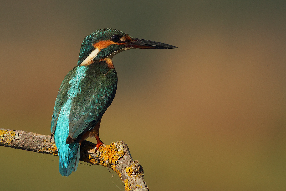 Martina waiting ........