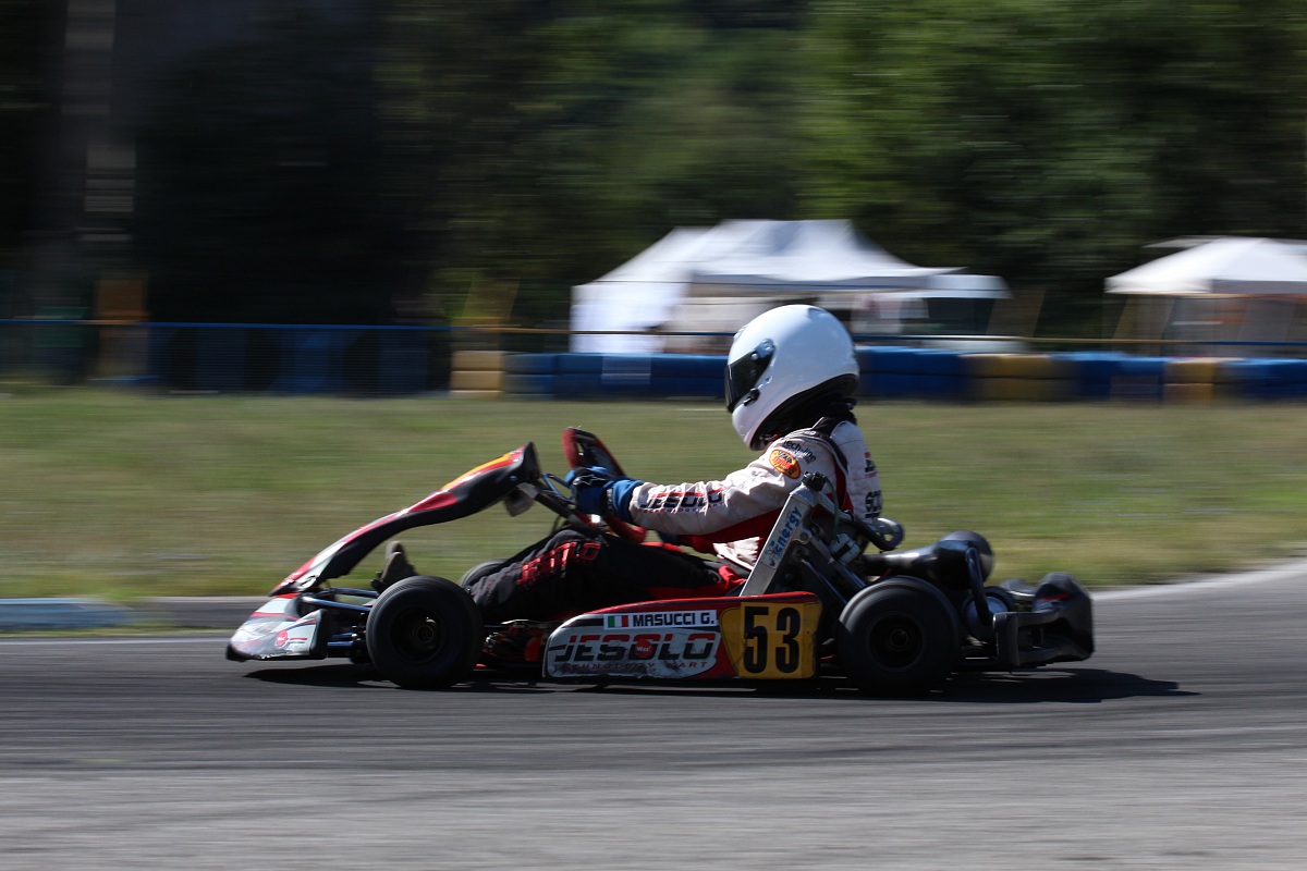 panning go kart
