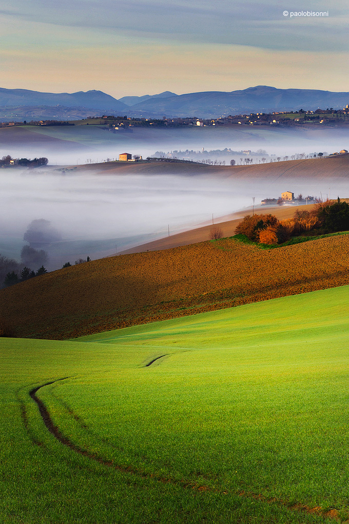 The groove and the mist