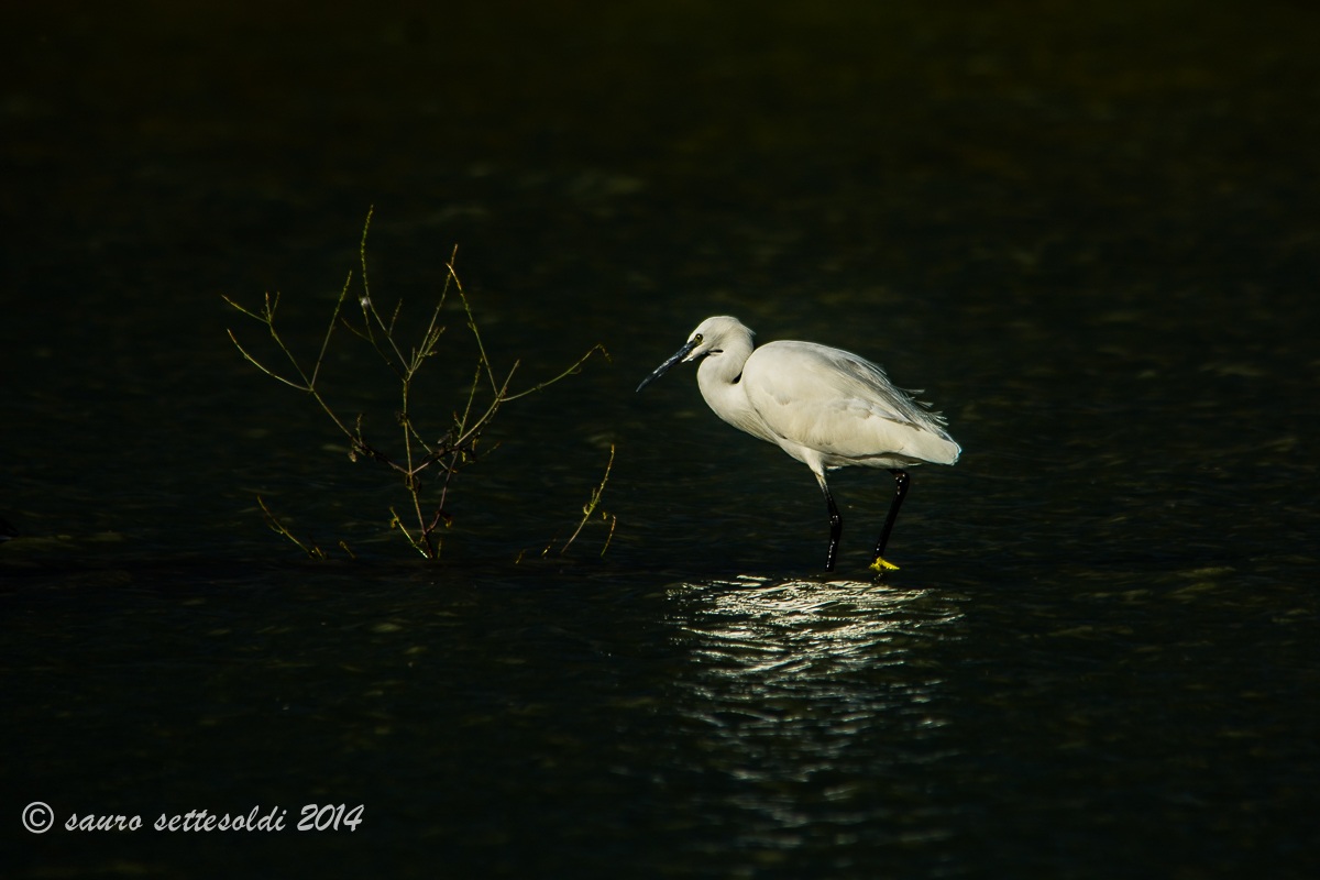magia della sera al parco