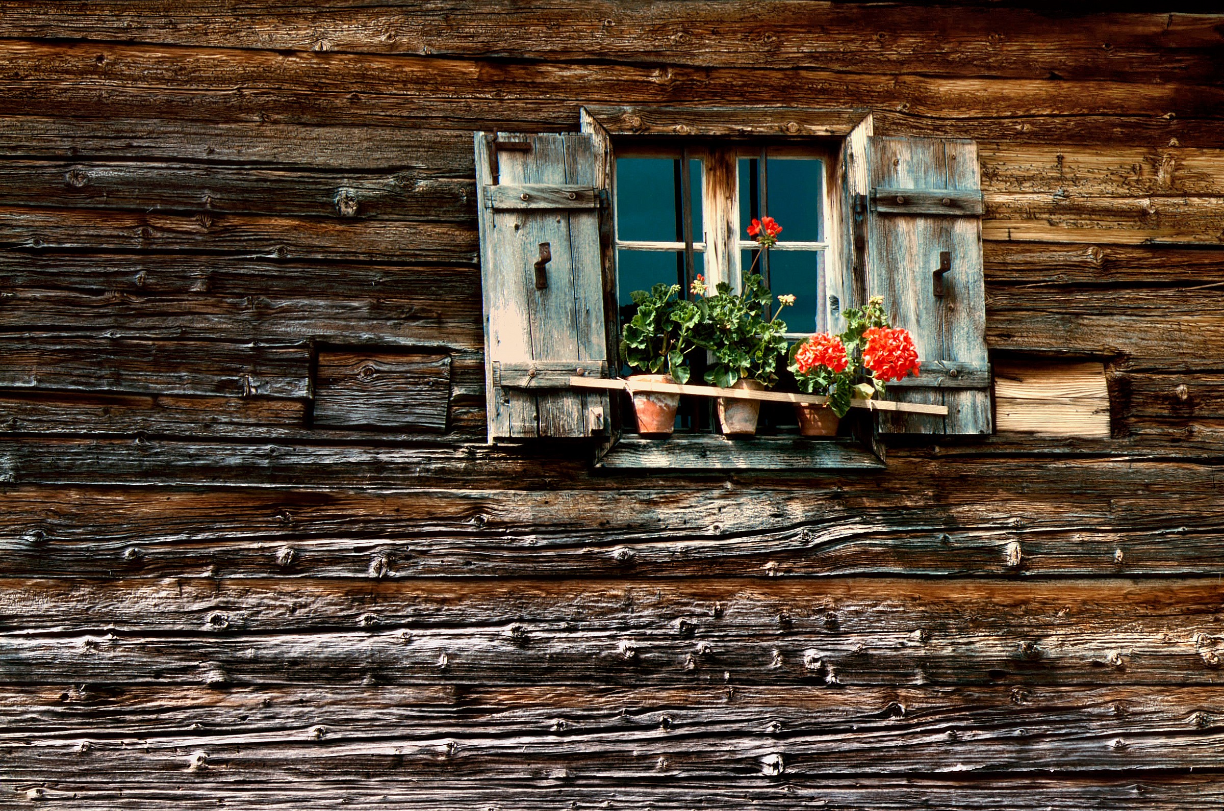 Piccolo davanzale montano - 1983