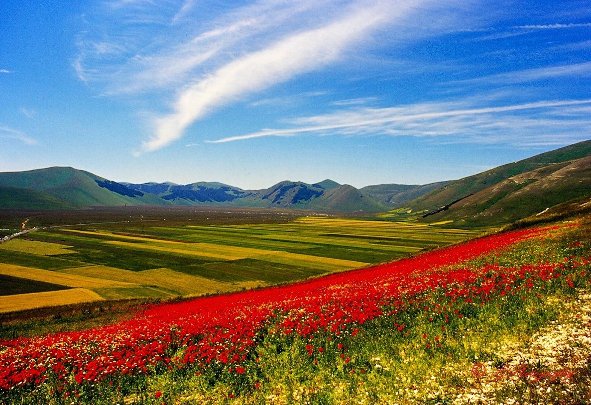One day in Castelluccio