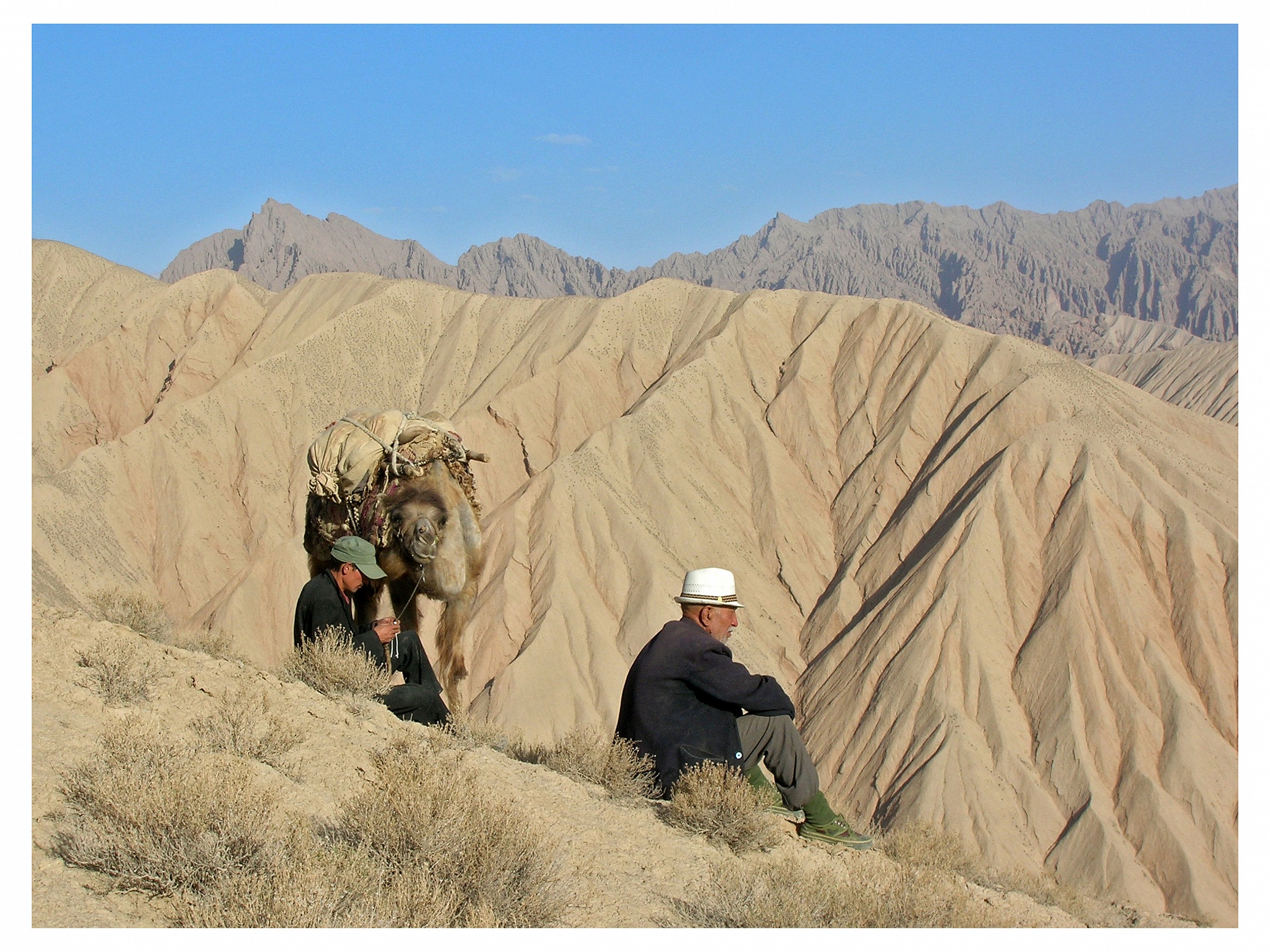 Pastors Uighurs, Xinjiang