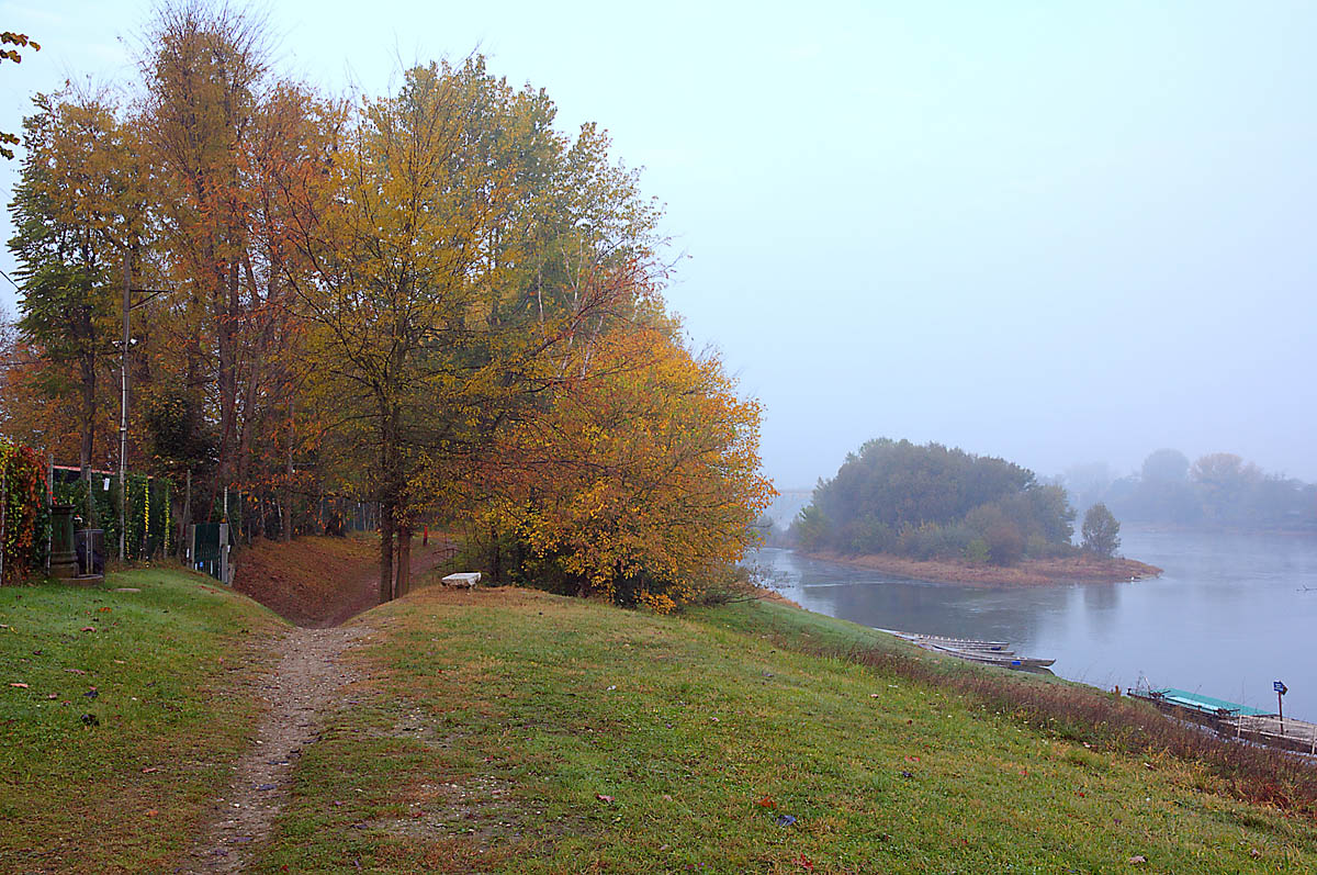 parco del Ticino (Pavia)