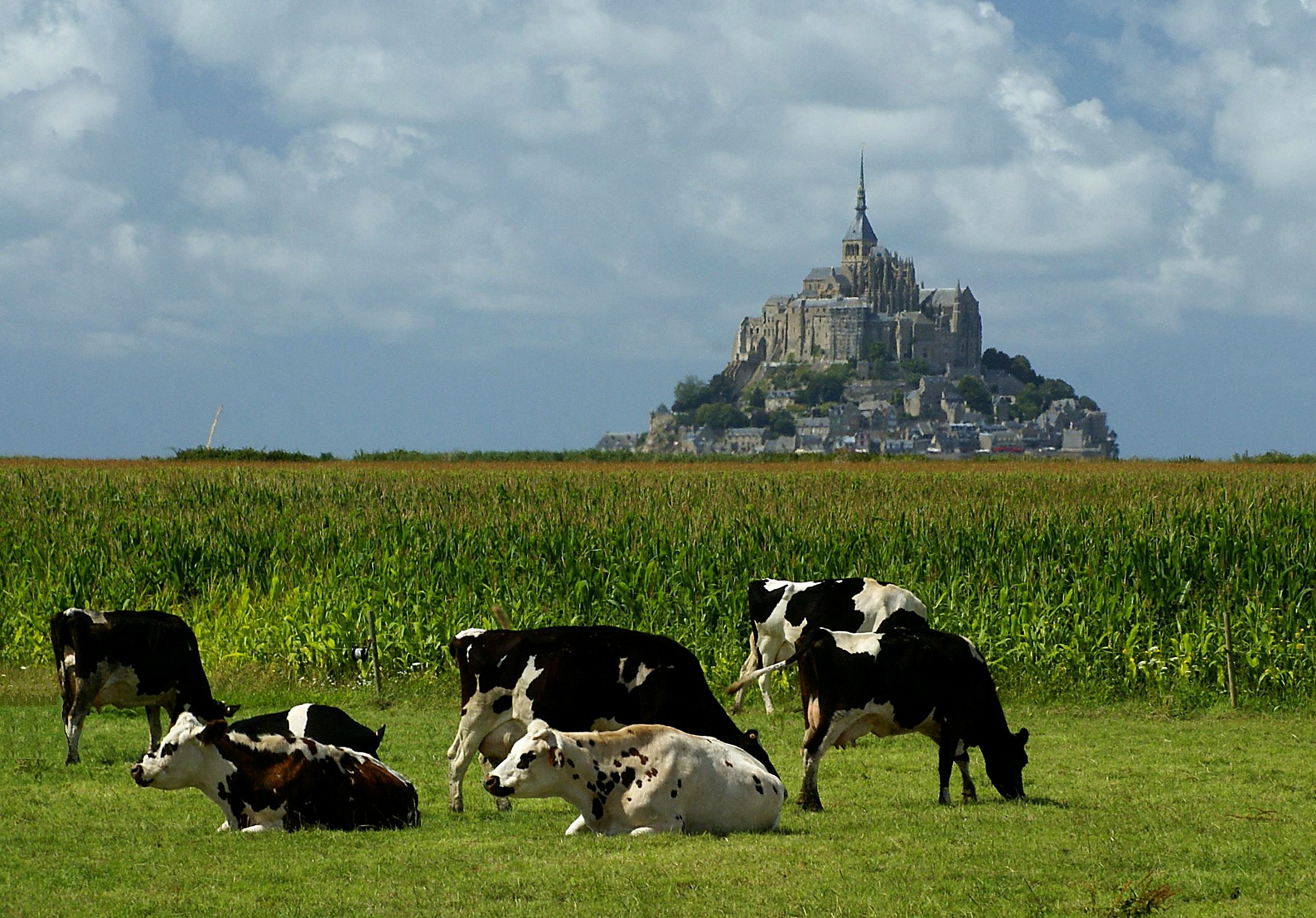 The Mont ... bucolic
