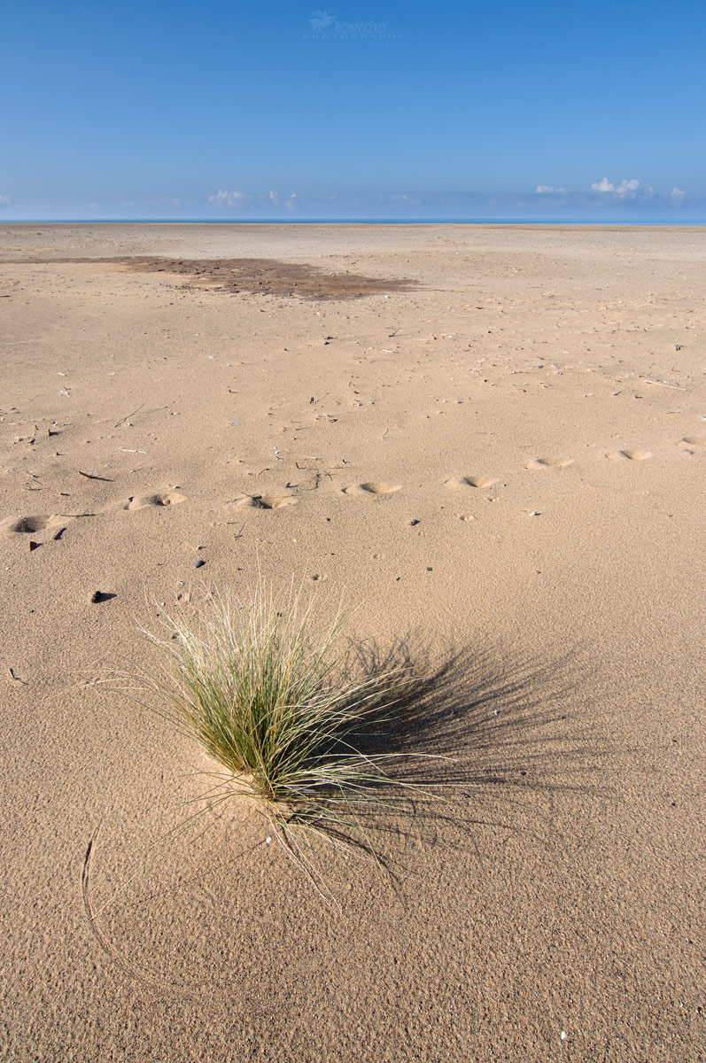 Goniometri naturali -  Deserto di Piscinas - Arbus