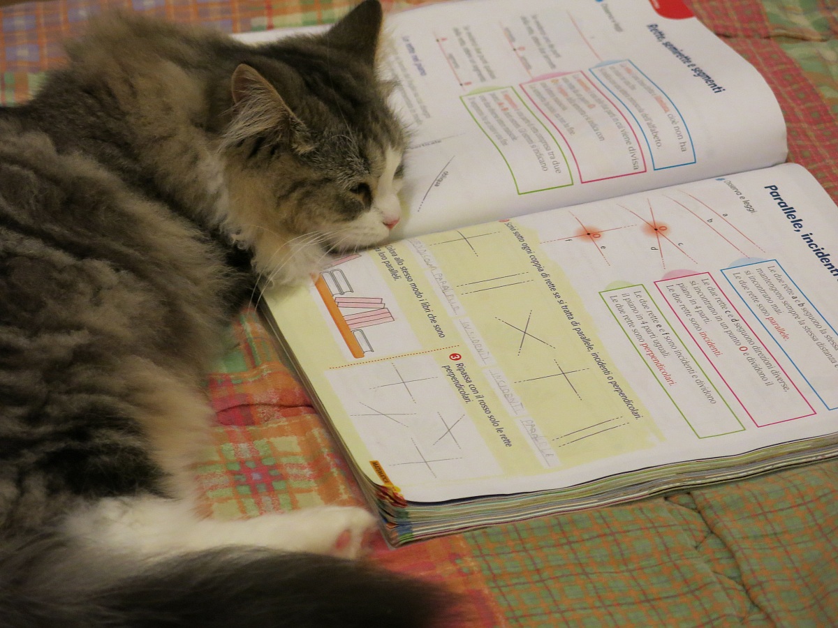 What an effort to study geometry ...