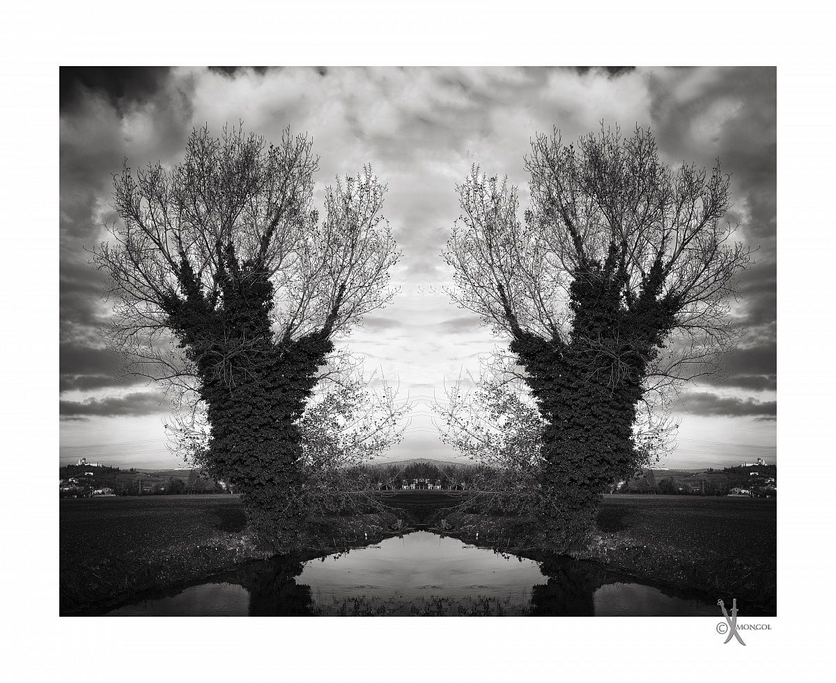 Hands up forestal police!