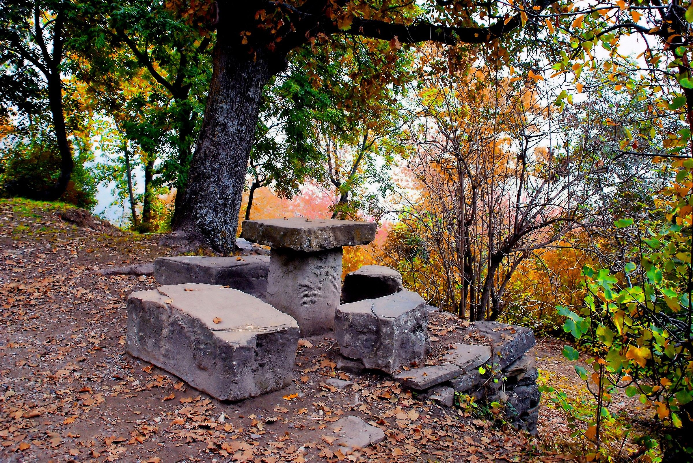 Il giardino di pietra