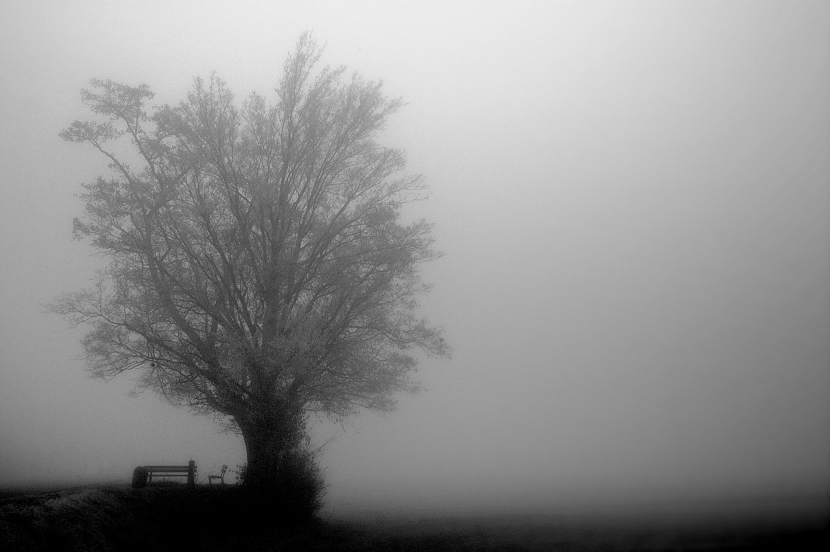 Ritrovarsi nella Nebbia