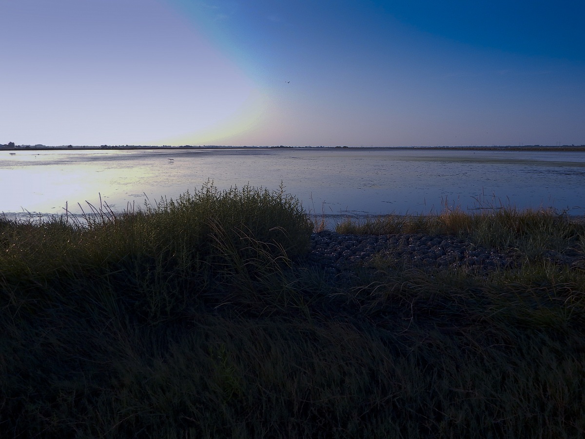 Saline of Cervia
