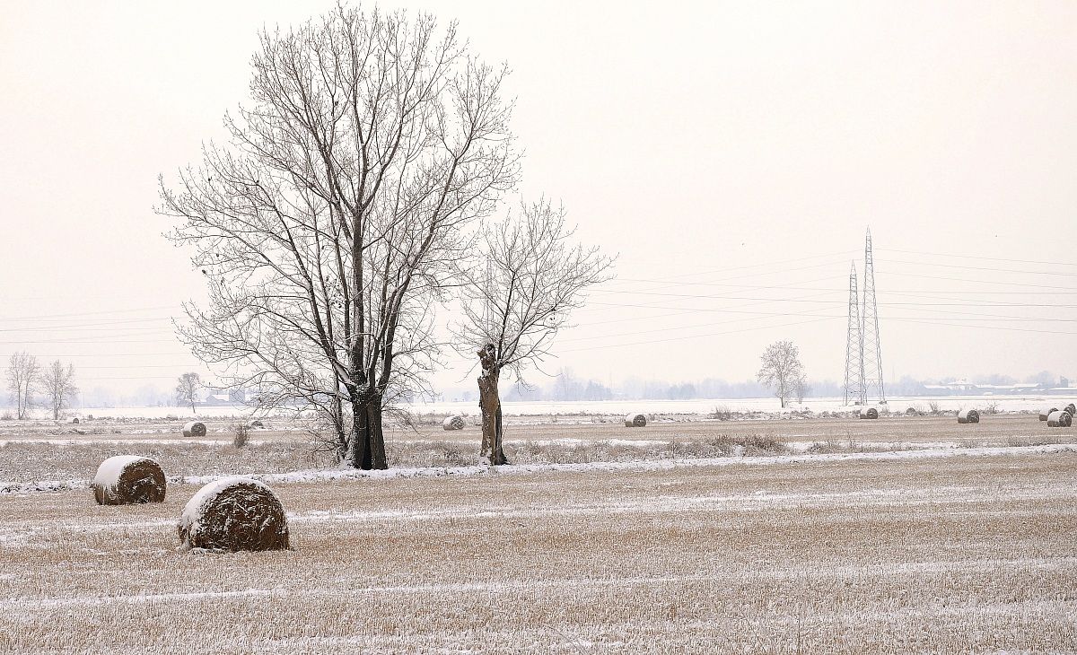 campagna di milano con la neve