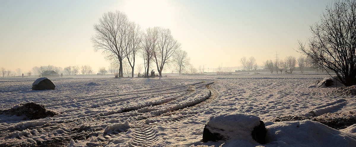 brugherio parco di increa