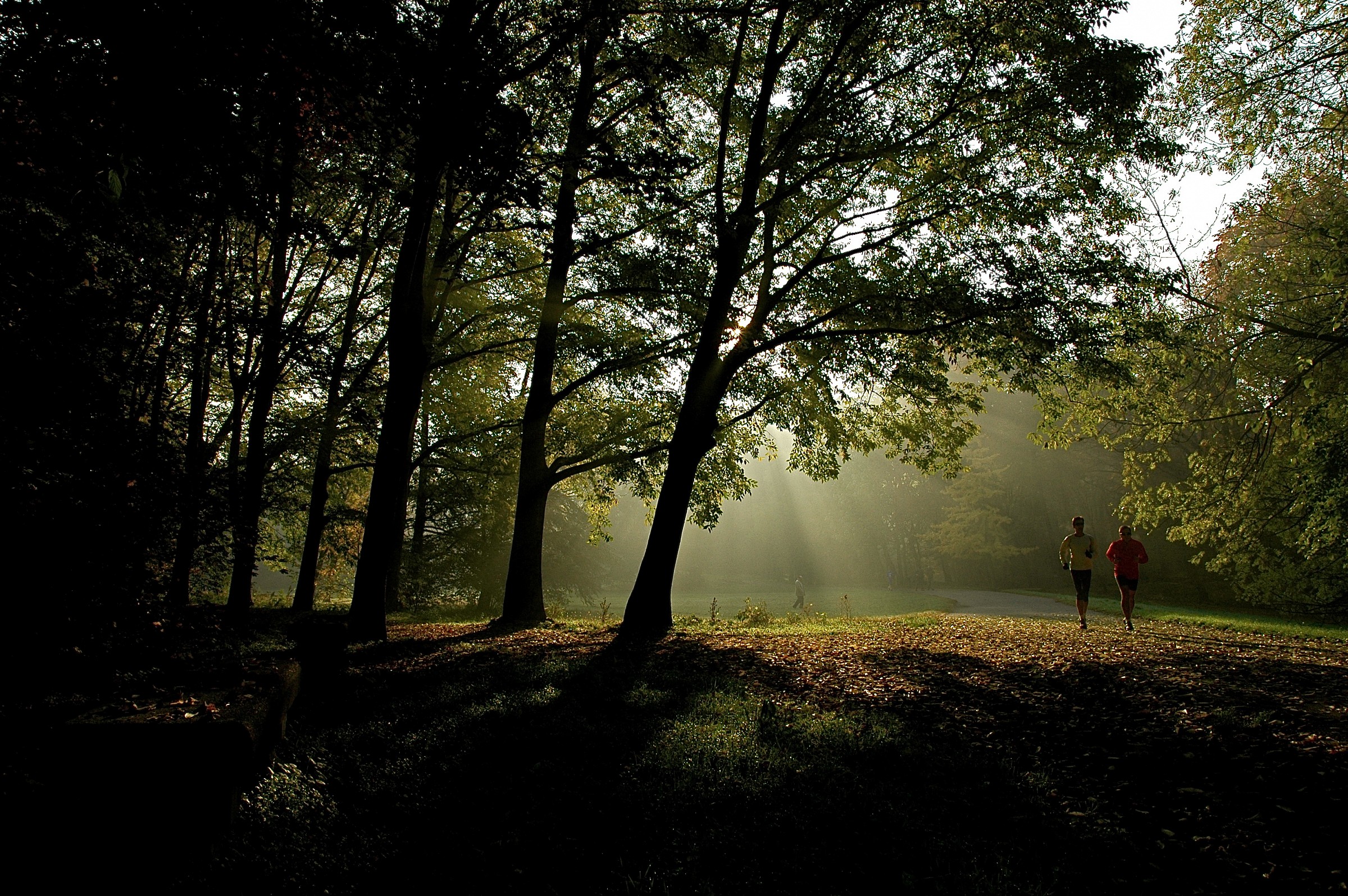 monza il parco e l'autunno