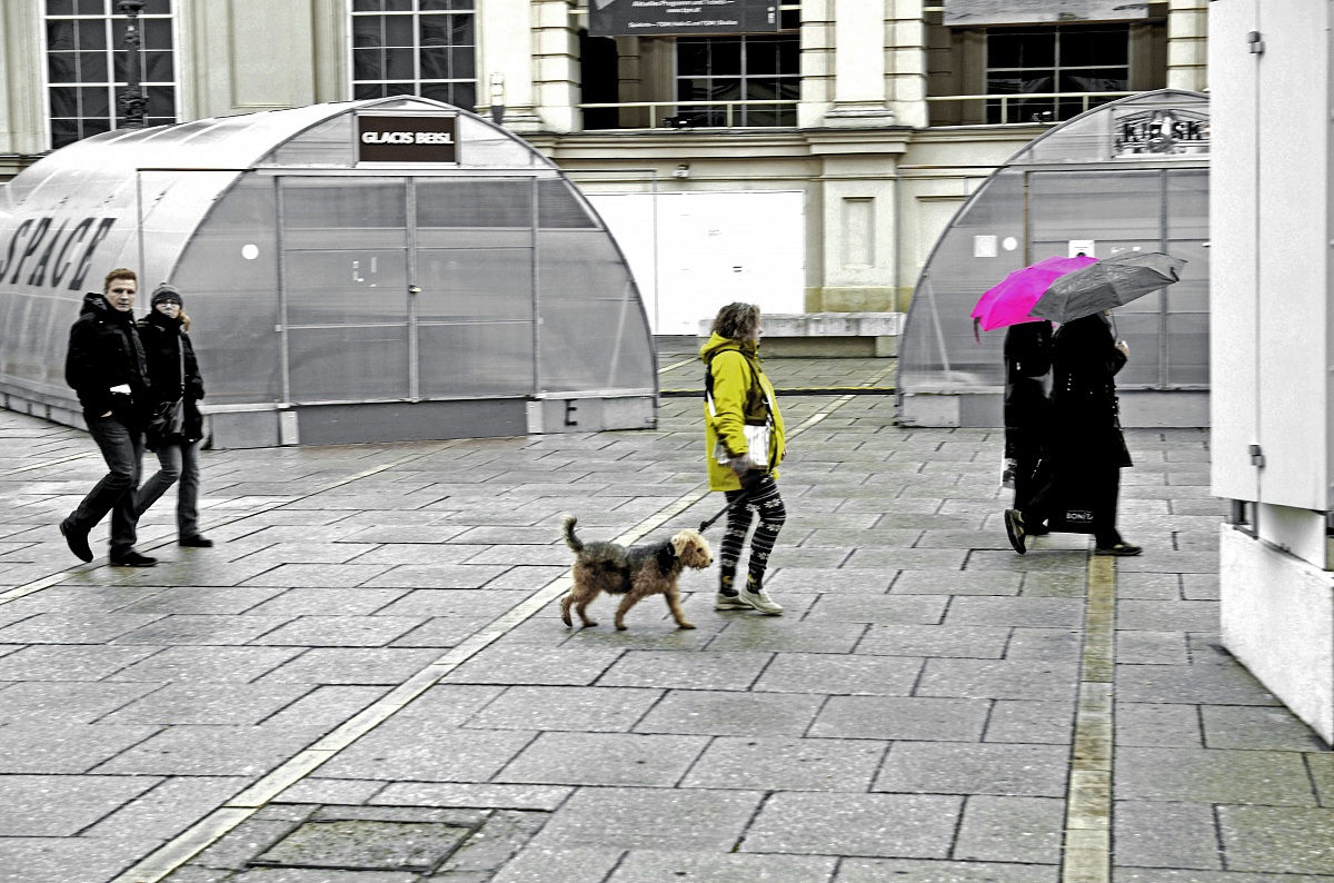 the city (and people) of the museums