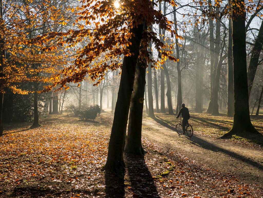 Pedalling in the Park