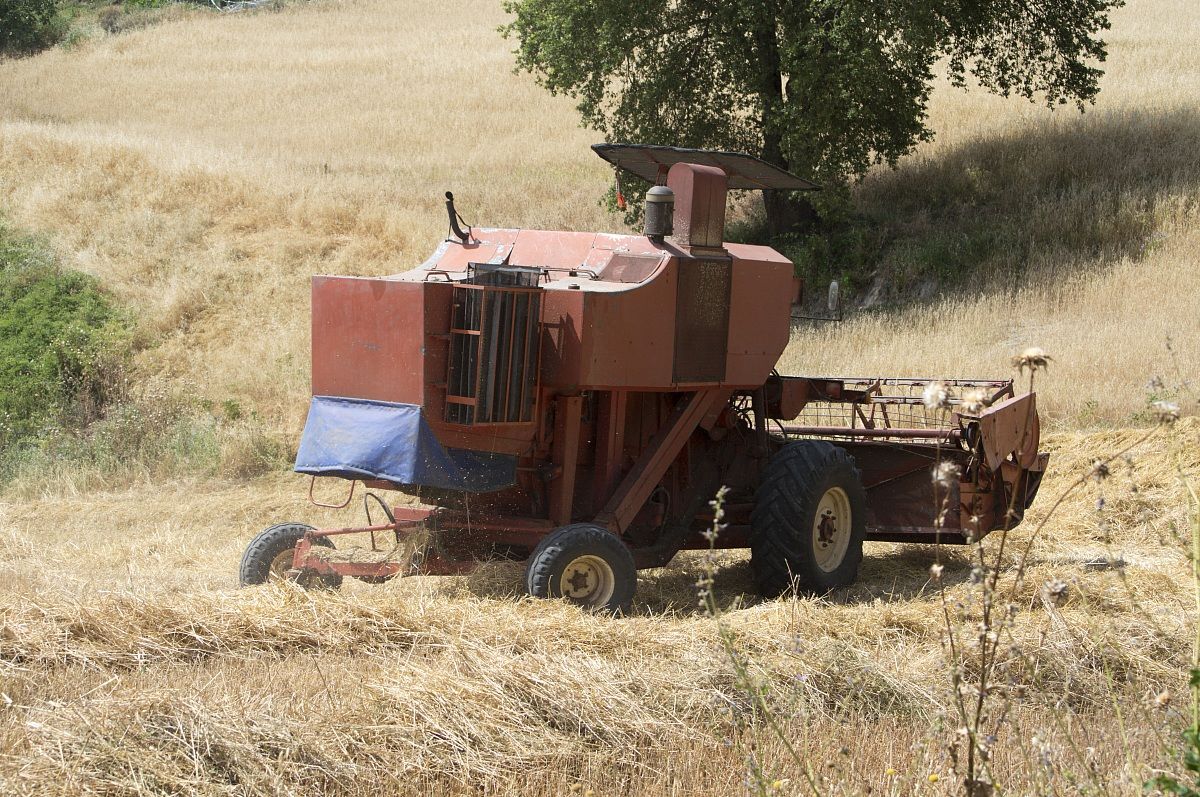 Campagna-Viterbese Mietitrebbia
