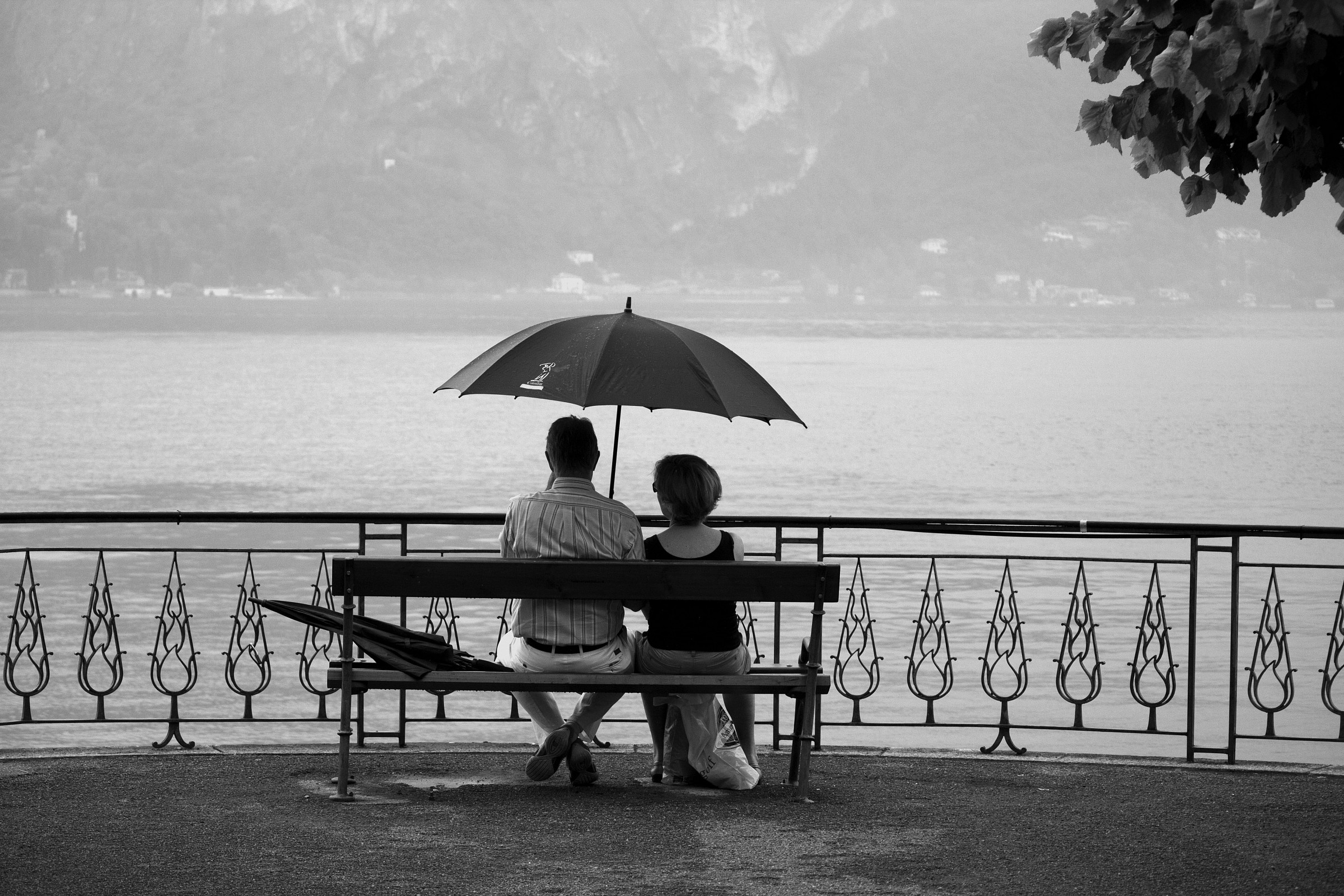 love in the rain