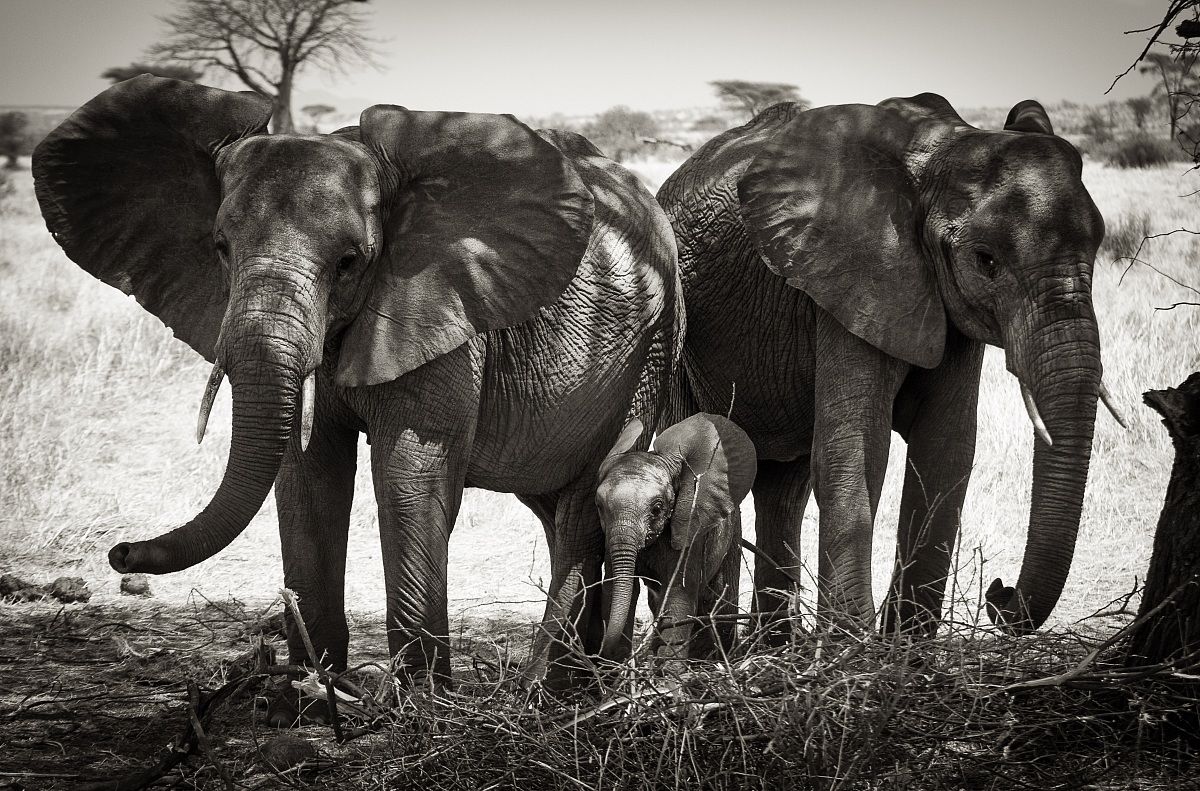 Una domenica in Famiglia