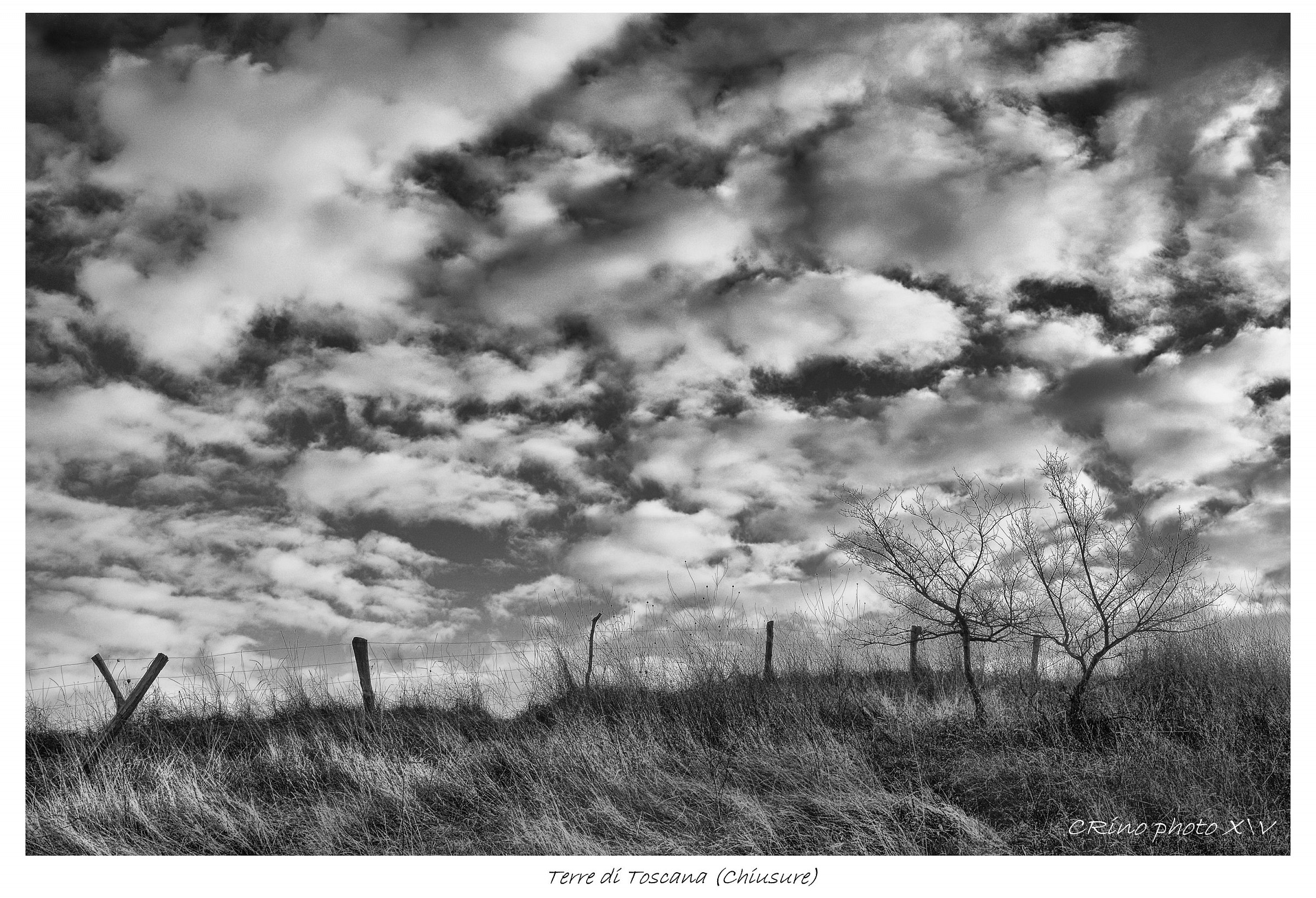 ...Terre di Toscana...