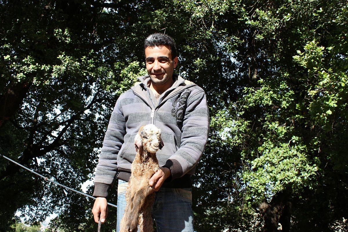 A Proud Shepherd. Holding a newly born baby goat 1