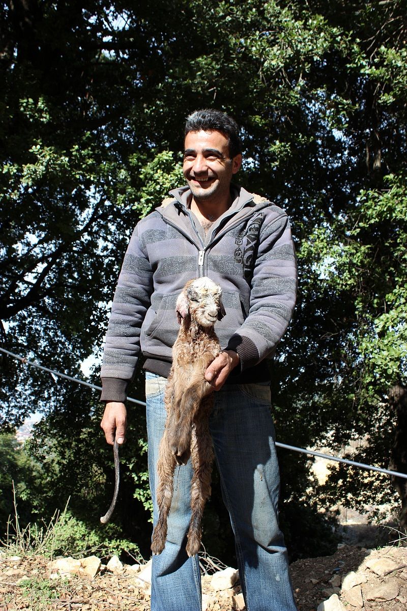 A Proud Shepherd. Holding a newly born baby goat 2