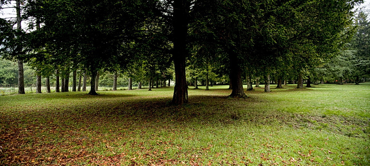 Leica 28 2.8 PC Superangulon