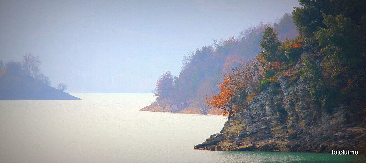 nebbia sul lago
