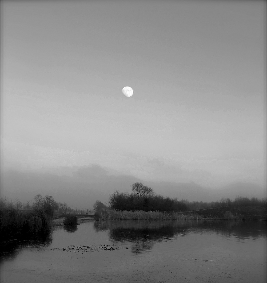 Parco Nord verso sera