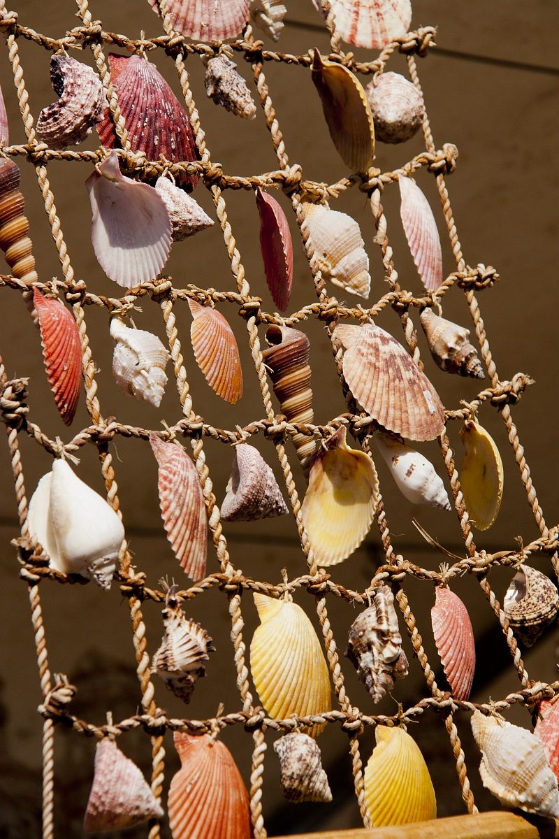 The network of shells