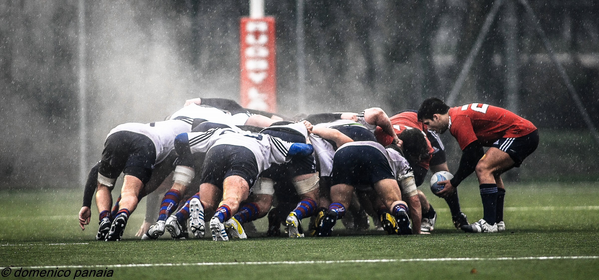 campionato accademie (milano vs rovigo)