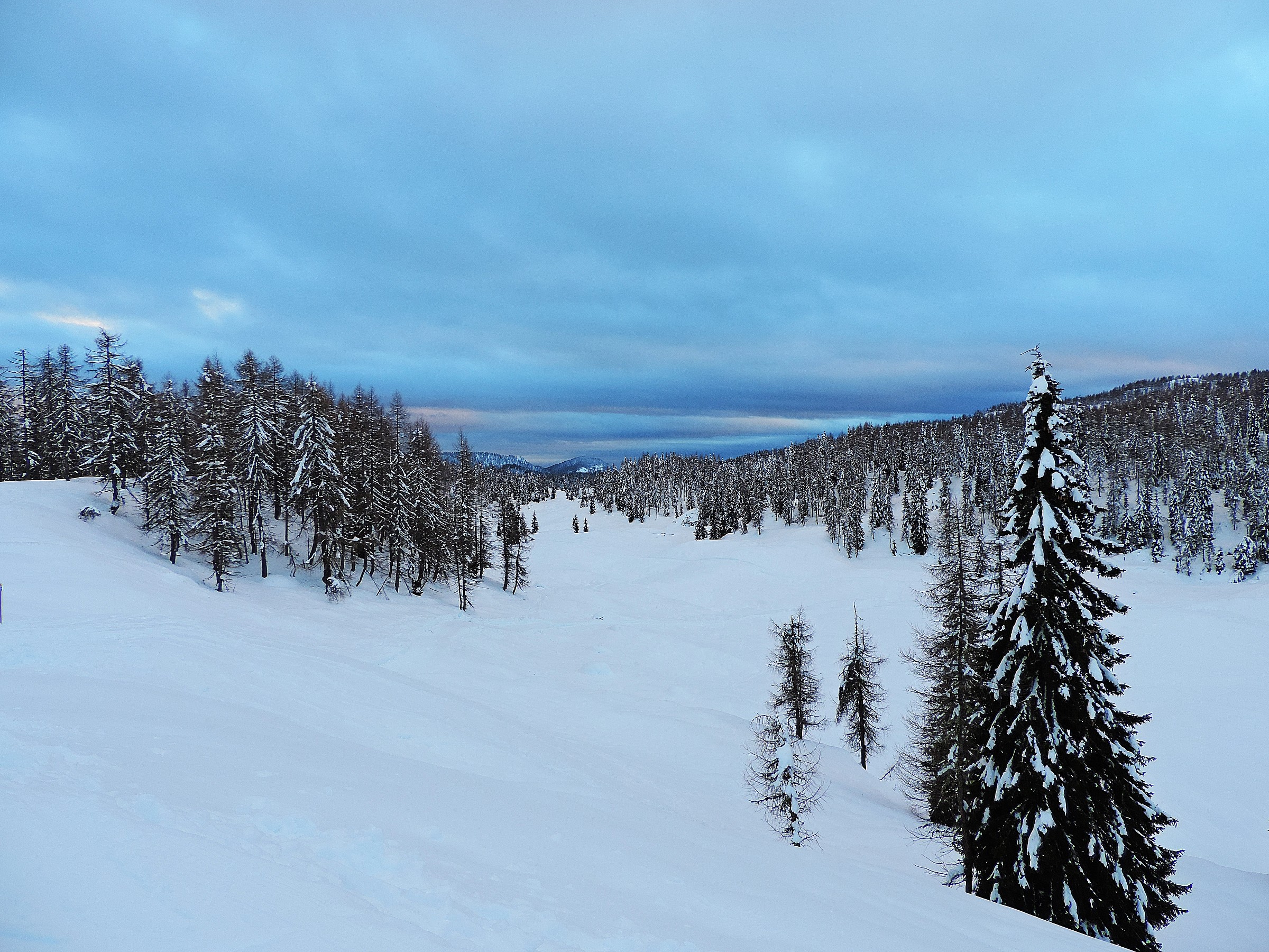 Between the blue and the white