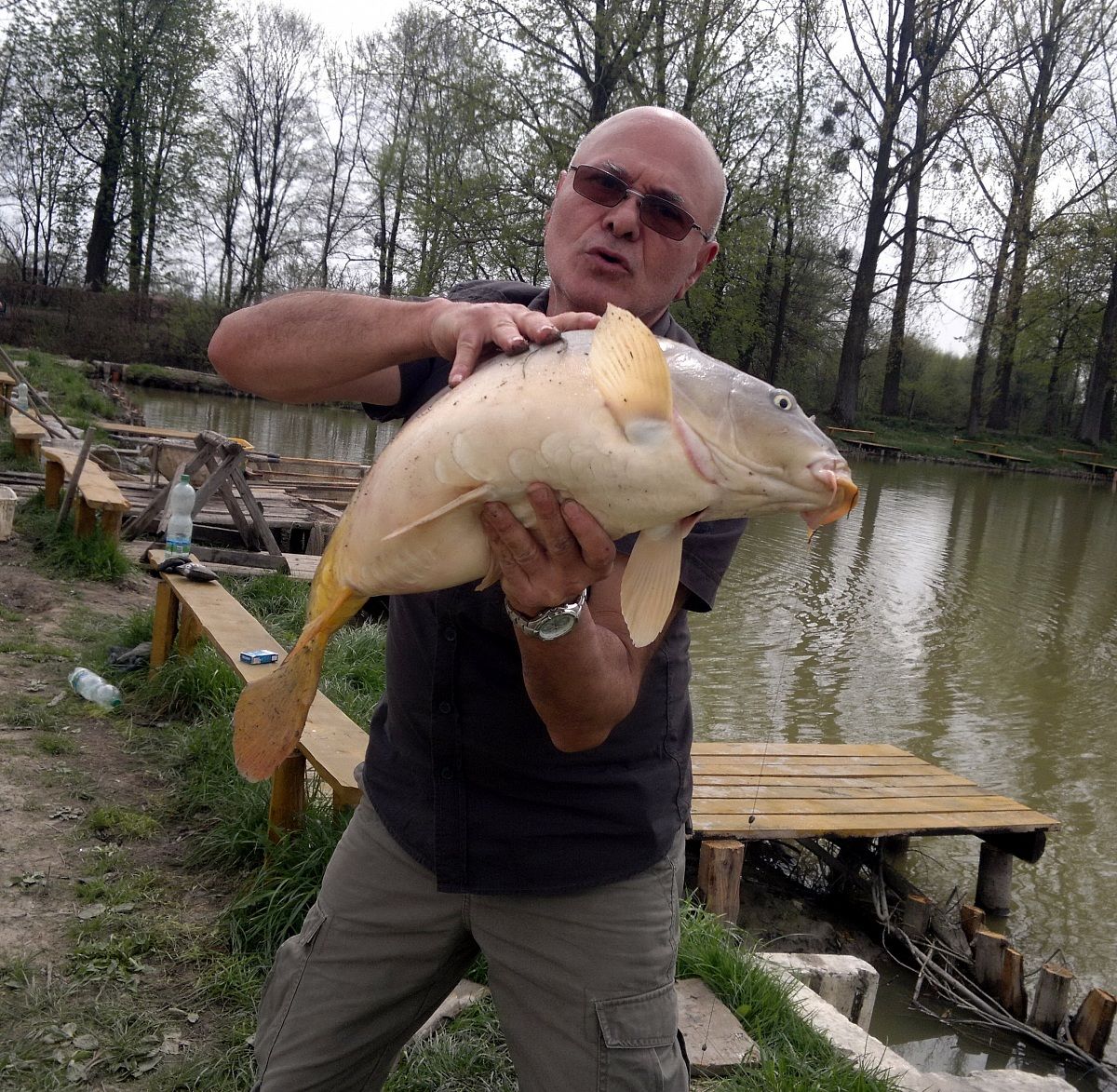 what a beautiful fish